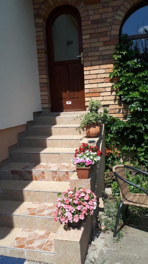 Borbarátok vendègház Villány Exterior foto